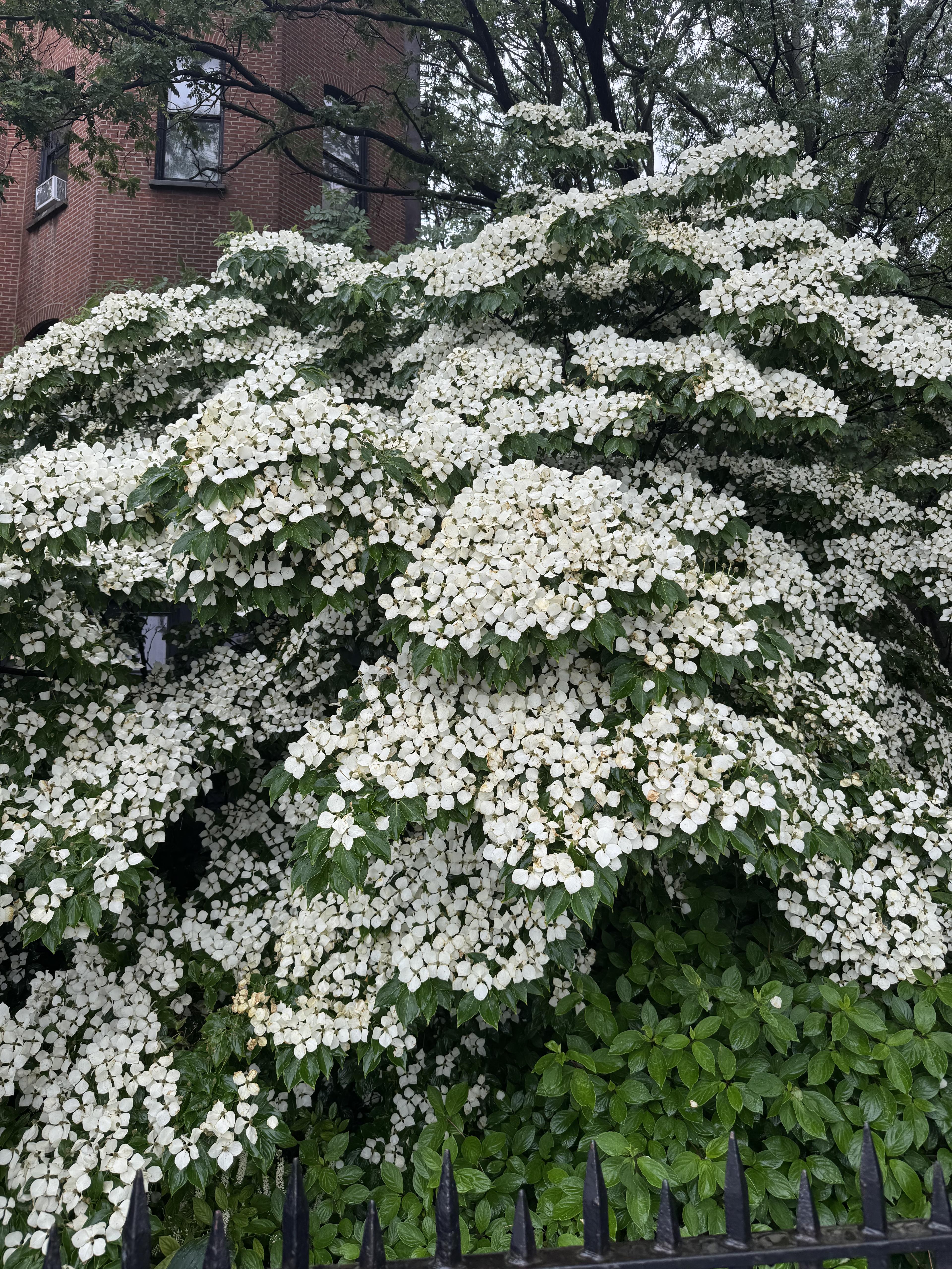 Sustainable products