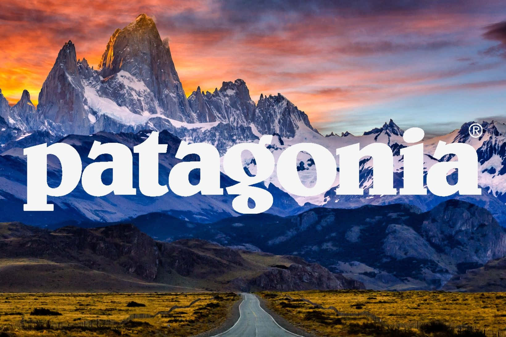Patagonia product